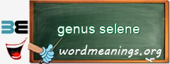WordMeaning blackboard for genus selene